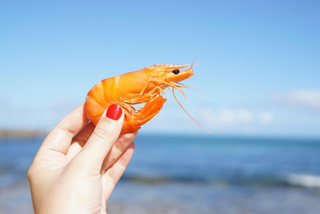 Nutritional Benefits of Eating Shrimp