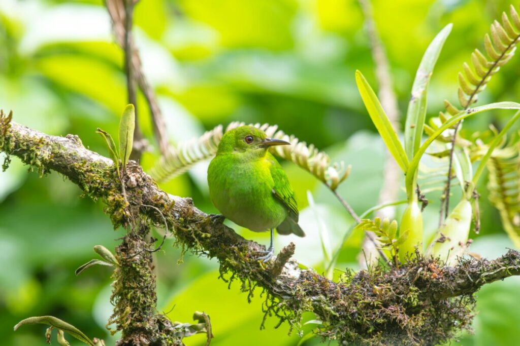 biodiversity loss